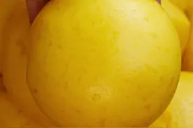一发馒头和二发馒头的区别？各有缺点有哪些？看完视频才明白#美食 #面食 #馒头
