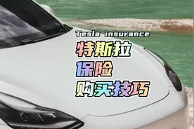 特斯拉怎么买车险，既能规避自燃损失视频封面