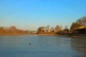 🌿仲景健康日报  🎀 我们平常所看到的浮在身体表面的青筋视频封面