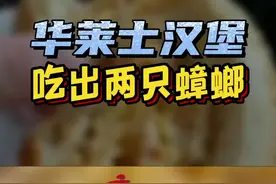 男子#华莱士 汉堡中吃出两只被炸熟的蟑螂，商家表示愿意退款并赔偿200元，但不知道为什么会有异物#汉堡 #喷射战士