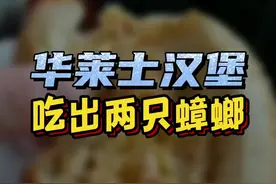 男子#华莱士 汉堡中吃出两只被炸熟的蟑螂，商家表示愿意退款并赔偿200元，但不知道为什么会有异物#汉堡 #喷射战士