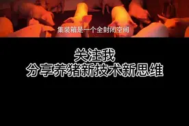 #猪场建设 5万元，7天时间建好一个集装箱猪舍，可养猪120头。你心动了吗💗？@积牧的养猪神器视频封面