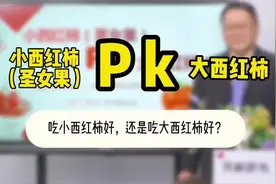 小西红柿又称圣女果，有人说是转基因的，是吗？其实视频封面