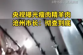 沧州青县每年约出栏70万只羊，央视315曝光部分经销商贩售瘦肉精羊肉问题，沧州市长：彻查到底。视频封面