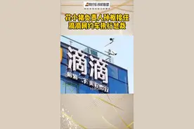 花小猪负责人孙枢接任DD滴滴网约车更换执行总裁！这是要搞大动作了吗#网约车司机 #上热门 #网约车 #新闻视频封面