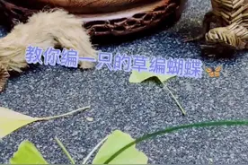 教你编一只棕编蝴蝶🦋精简版#创意手工 #棕编教程 #洪合棕编非遗传承人 #幼儿园手工 视频封面