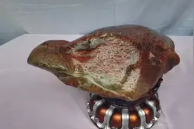 #纯天然奇石 红珊瑚化石视频封面