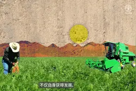 几千年前, 我们的祖先学会了种植作物，饲养牲畜视频封面