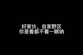 队友看了直呼离谱~视频封面
