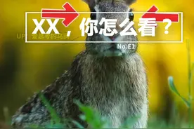 XX，你怎么看？视觉是什么?(上) #每天跟我涨知识