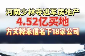 河南少林寺进军房地产，4.52亿郑州买地，方丈释永信拥有18家公司控制权