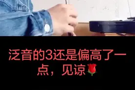 这首歌的间奏昨天一天听了100遍左右，然后完成了你们想听的这段，爱你们❤️#唢呐 #安和桥视频封面