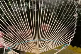 夏天到了，做个美美的蚕丝扇  #花园生活视频封面
