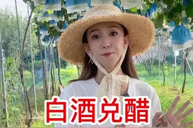 白酒兑醋喷一喷，蚊子不敢进房门#蚊虫叮咬 #新农人计划2022 #热门 视频封面