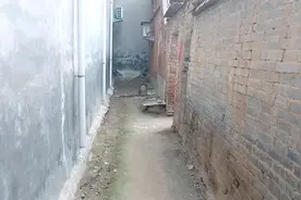 这辈子我只负责两种人：生我的人，我生的人视频封面