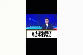 #支付扫码新规下路边摊们怎么办 支付扫码新规恰逢其时，时造多赢！#大v快评 #商家视频封面
