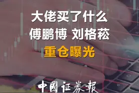 大佬买了什么 傅鹏博 刘格菘 重仓曝光视频封面