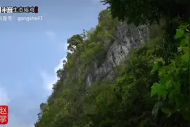 广西南丹瑶鸡！#广西农村党员赵掌柜视频封面