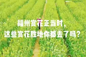福州赏花正当时，这些赏花胜地你都去了吗？视频封面