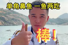 它叫单角鼻鱼🔥 头顶骑角如象鼻🐘身披砂纸状战衣 尾柄有硬棘 如此梦幻神奇鱼种做一鱼两吃味道棒极了#庙湾岛 #庙湾岛自由俊 #新农人2022乡村振兴