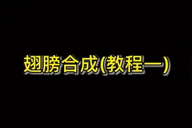#奇迹mu #木瓜奇迹 翅膀合成(教程一)后续 #怀旧游戏 #经典游戏视频封面