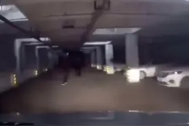 大妈地下车库里跳广场舞，车来了还不想让道视频封面