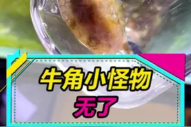 牛角小怪物突然挂掉了，问题是它还掉颜色...#观赏鱼 #水族 #养鱼日记视频封面