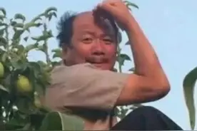 安之酸植物染发视频封面