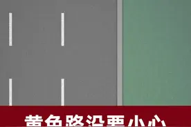 这样挨罚真冤！路边停车一定要看路沿颜色#交通安全 @抖音短视频 视频封面
