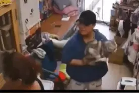 #被猫抓伤后的应对措施 ，不是第一时间打疫苗，教你三步处理 #科普 