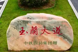 #淮南 玉兰大道说：不想以这样的方式“出名”，只想默默的为淮南人民奉献。安徽省淮南市高新区玉兰大道是贯通高新区南北的一条主要干道，北端可经淮舜南路到老城区，南端可到达淮南南站。#look淮南 #航拍 视频封面