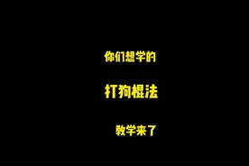 你们想学的打狗棍法教学来了，赶紧收藏学习吧。#八极拳 #打狗棍#防身术 #非物质文化传承#棍法视频封面