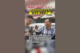 #袁隆平逝世一周年 #袁花花还在等待它的袁爷爷 #花花长成了袁爷爷期待的样子 2021年5月22日，袁隆平院士逝世，而他收养的小猫“袁花花”，依然替袁老守护着这片稻田，缅怀！#袁隆平 #缅怀袁老 #袁花花 #萌宠 视频封面