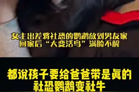 #鹦鹉#宠物#萌宠 #跟宠物一起宅在家 #神奇动物在抖音视频封面