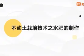 枯饼水肥制作流程！#不动土施肥技术#发酵肥#热门#抖音小助手视频封面