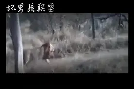 #坏男孩联盟  莫瓦斯兄弟  互相蹭头  握手礼，这一画面 堪称世纪经典视频封面