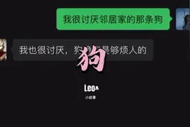 邻居家的狗一直冲着我吼，我实在是忍受不了，解决了它，可是…视频封面