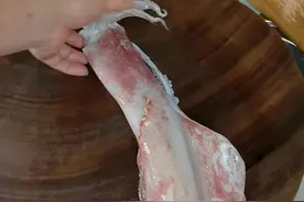 这就是鱿鱼最鲜美最原味的一种烹饪方法#白灼鲜鱿鱼 潮汕的味道，你学会了吗？#抖音海鲜推荐官 #抖音创作人 视频封面