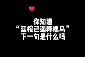 你知道，“蓝桉已遇释槐鸟”的下一句是什么吗视频封面