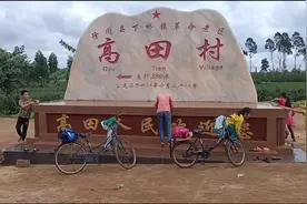 高田村的榕树林#广东徐闻县下桥镇视频封面