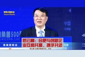 罗云峰：合肥与创新企业互利共赢、携手共进#金融 #财经 #资本视频封面