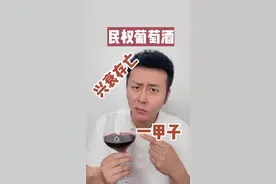 河南就这样痛失世界葡萄酒品牌！商战无情，民权悲情！！#葡萄酒  @抖音短视频视频封面