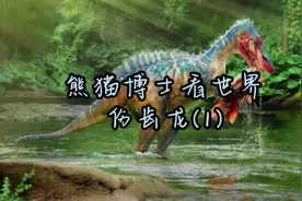 熊猫博士看世界伤齿龙。#科普 #恐龙🦖 #育儿 #动画片 #远古生物