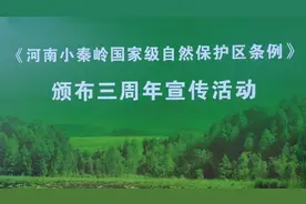 今年12月1日是《河南小秦岭国家级自然保护区条例》视频封面