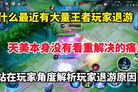 王者大量玩家退游的真实原因？王者的真正幕后原因？#王者 #游戏视频封面
