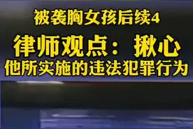 从目前证据看，踹伤袭胸者的男生法律上或处不利地位。可以酌情对小伙子减轻或从轻处罚#律师事务所视频封面