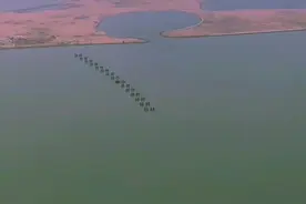 @DOU+小助手 新奇世界·如意岛。耗资44.9亿，现沦为烂尾工程……视频封面