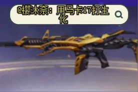 #全民枪神边境王者 玛卡17打生化粉推荐的这把武器伤害高