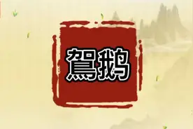#每日五词鴐鹅[ jiā é ]