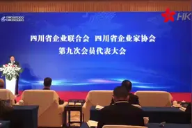 四川省企业联合会视频封面
